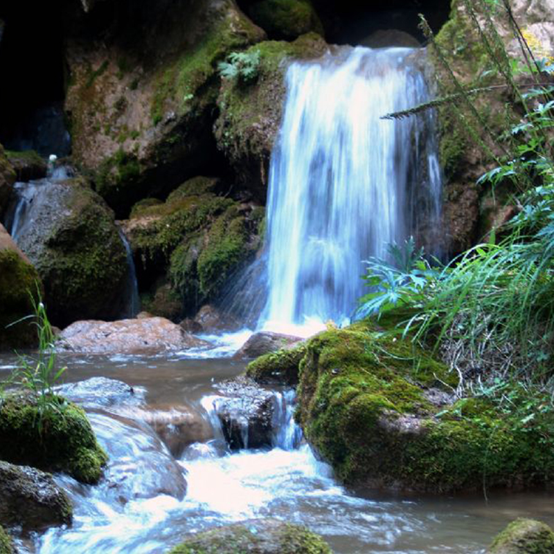 渭河源生态二日游